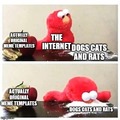 The internet loves those animals