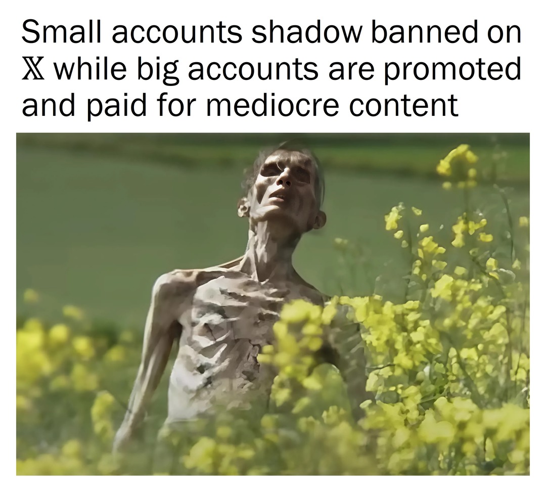 Small accounts on Twitter - meme