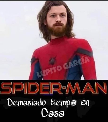 Spiderman En Los 2040 - meme