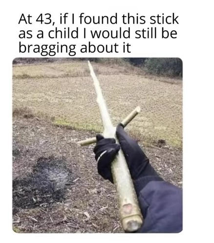 If I found this stick I might brag too lol - meme