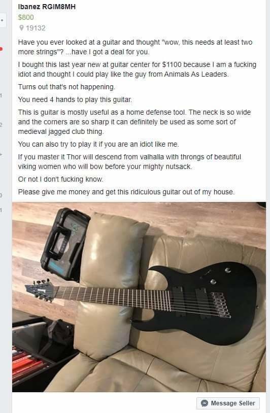 How many strings can you put on a guitar before it becomes a lute? - meme