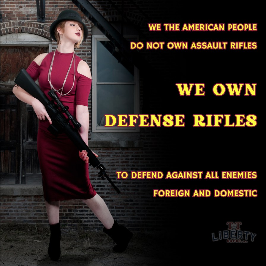 2nd Amendment - meme