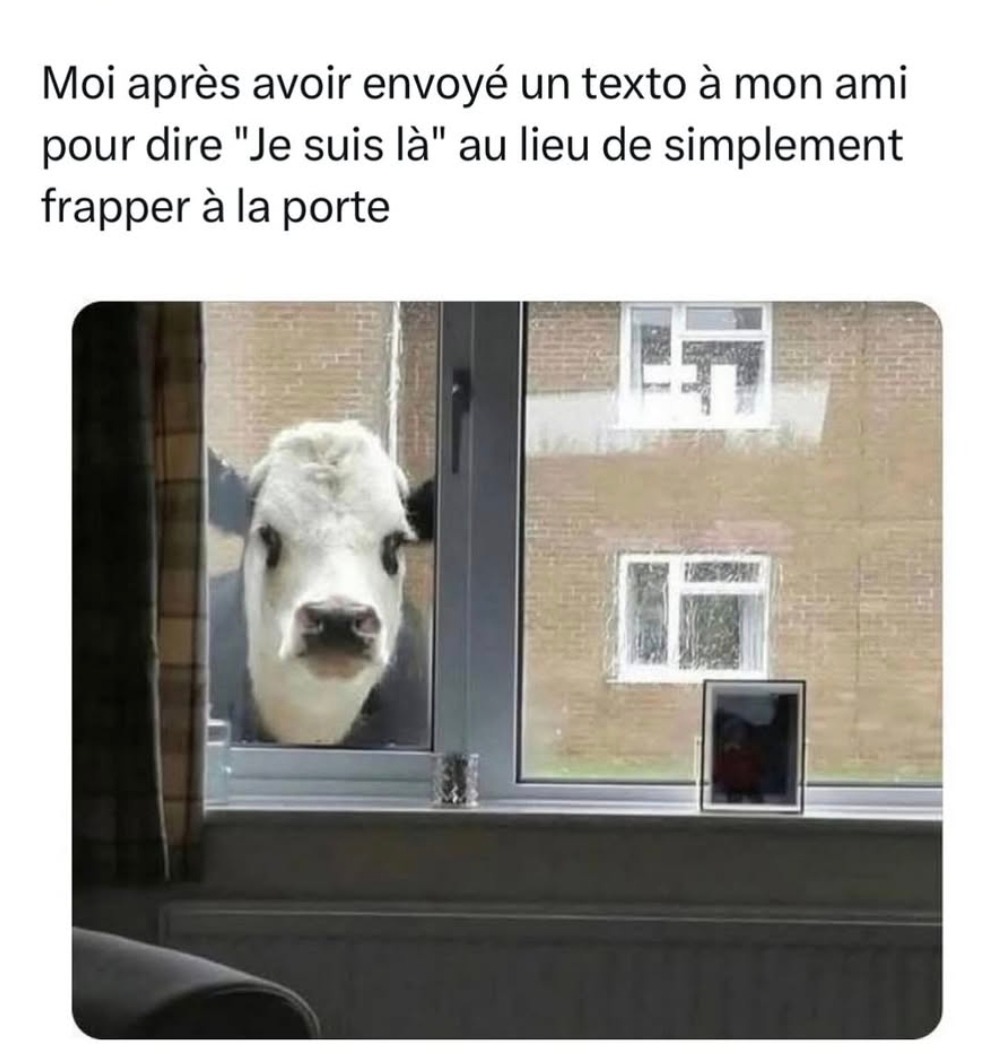 Envoyer un message Je suis là au lieu de toquer comme un humain - meme