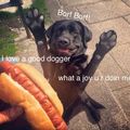 May your hotdoggos be perfectly cooked until the end of days