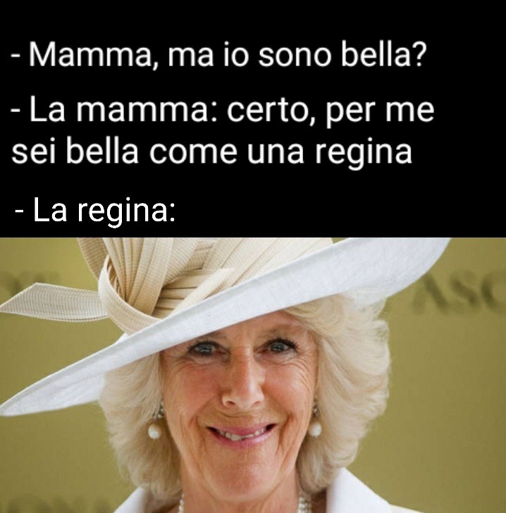 God save Camilla - meme