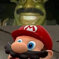 Cursed Mario bros