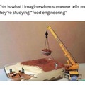 Wholesome food engineering