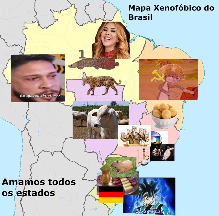 Mapa xenofóbico do Brasil - meme