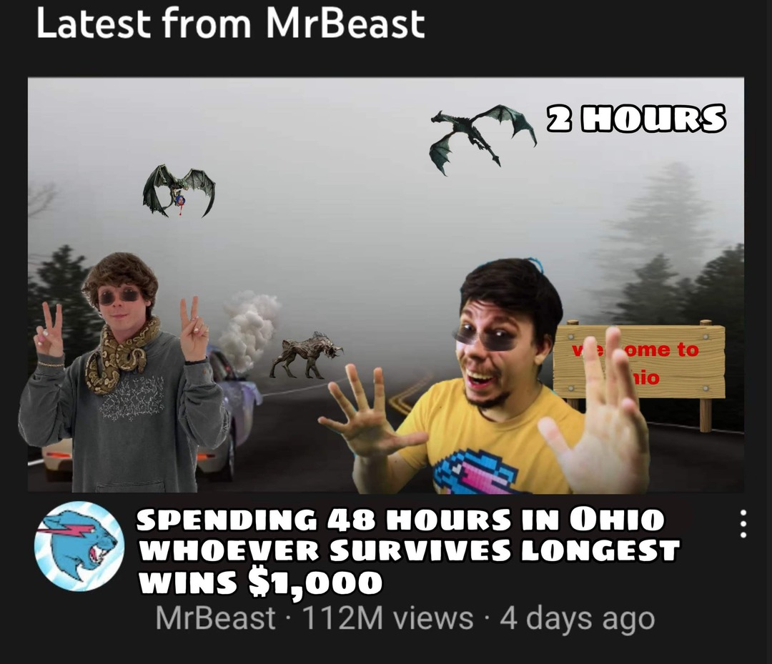 New Mr beast video dropped - meme