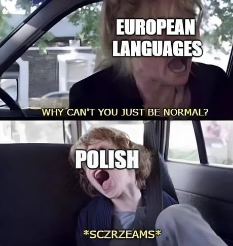 Polish be like - meme
