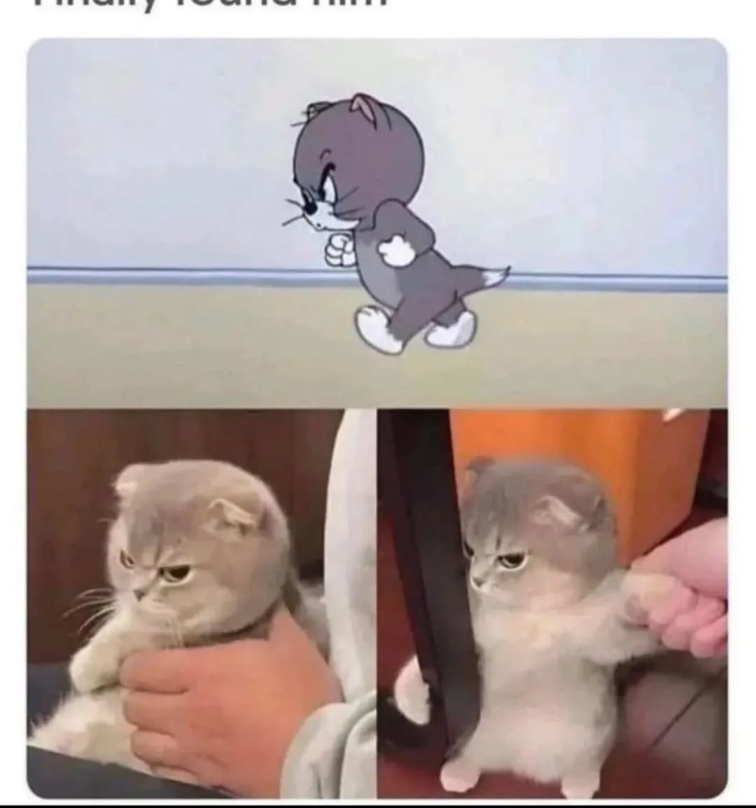 Ele existe - meme