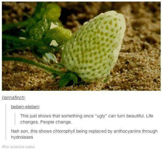 Thank you, science side of tumblr - meme