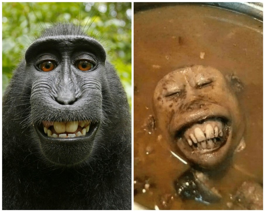 Sopa do macaco - meme