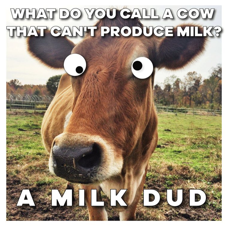 i love milk duds - meme