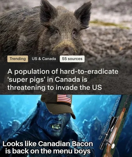 Super pigs - meme