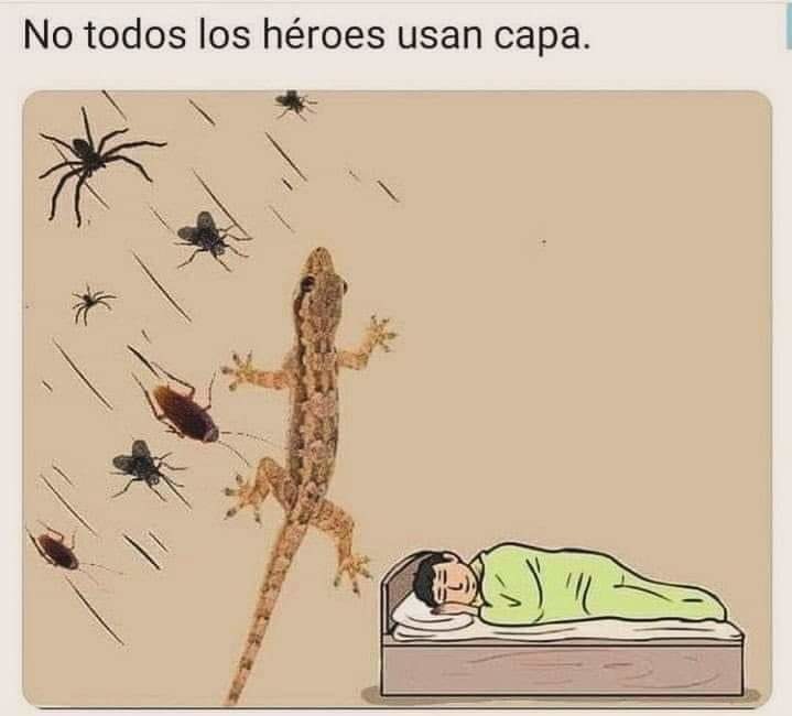E - meme