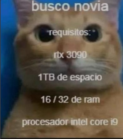 busco novio requisitos: - meme