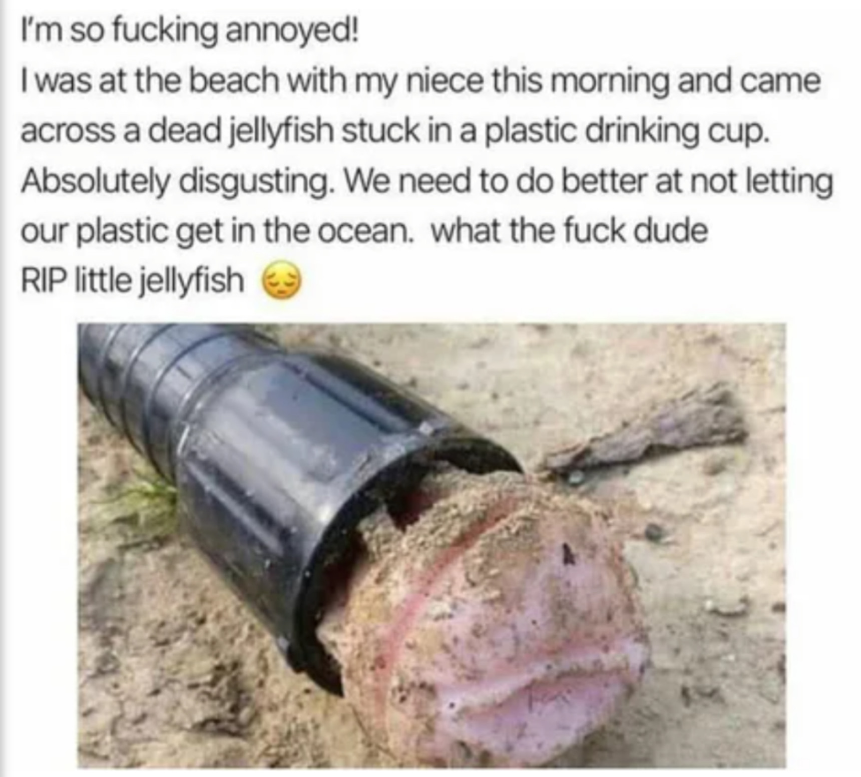 Jellyfish in a cup - meme