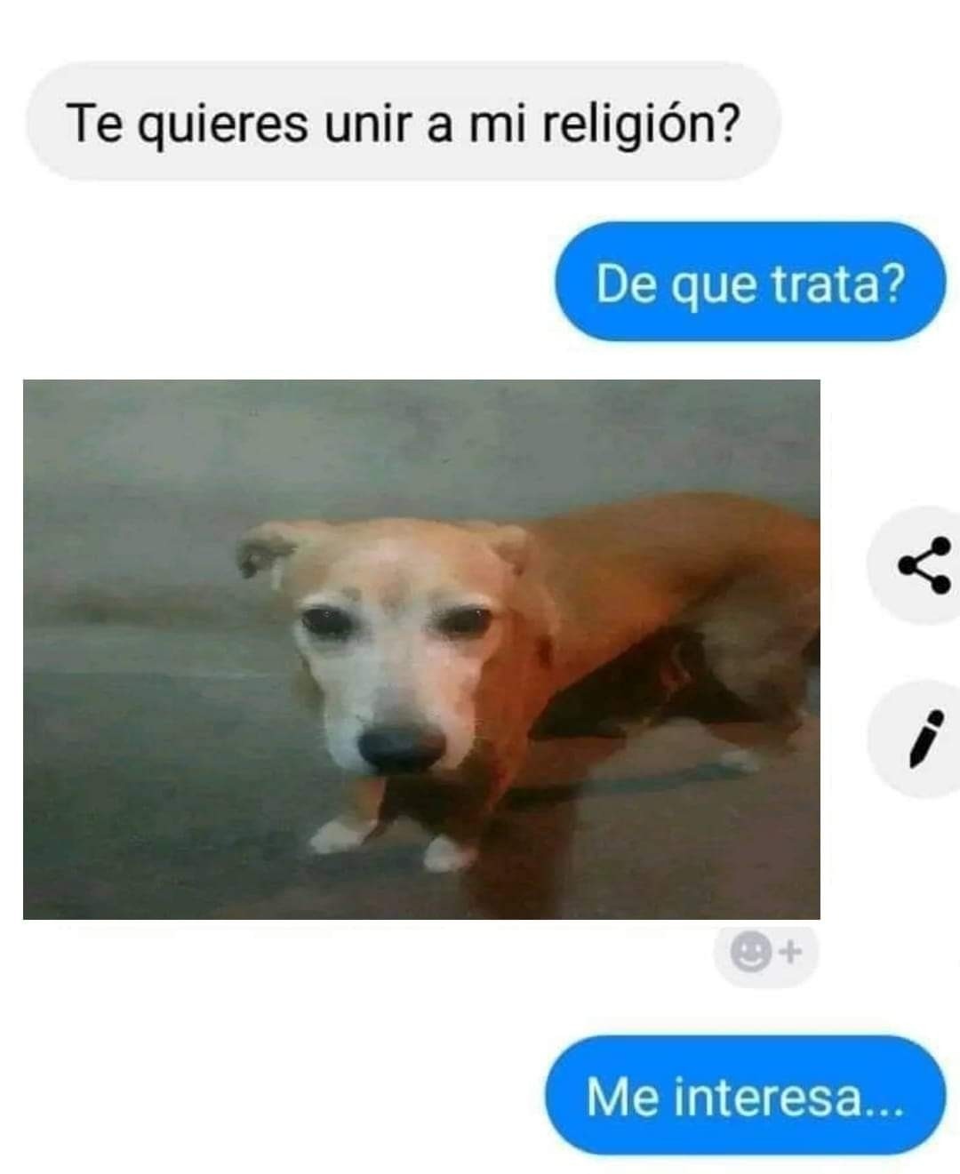 Perrito tonto - meme