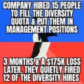 Diversity hire
