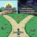 Two paths of a journalist