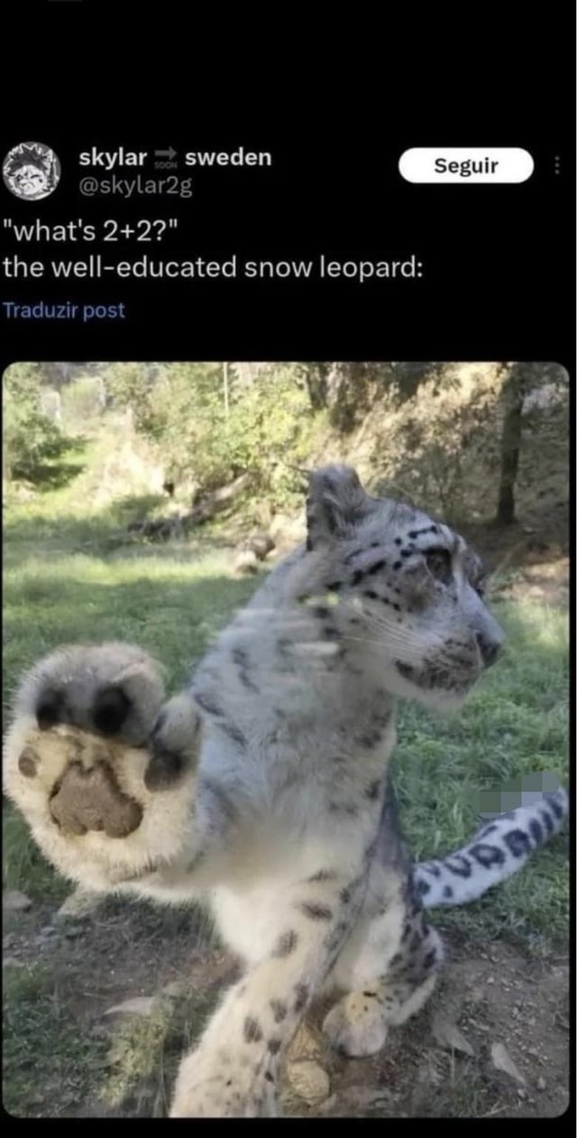 Snow leopard knows math - meme