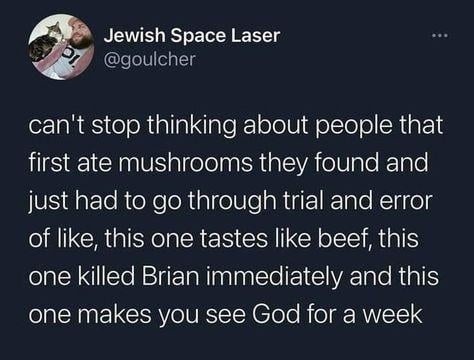 Someone ate random mushrooms and met God or died no in between - meme