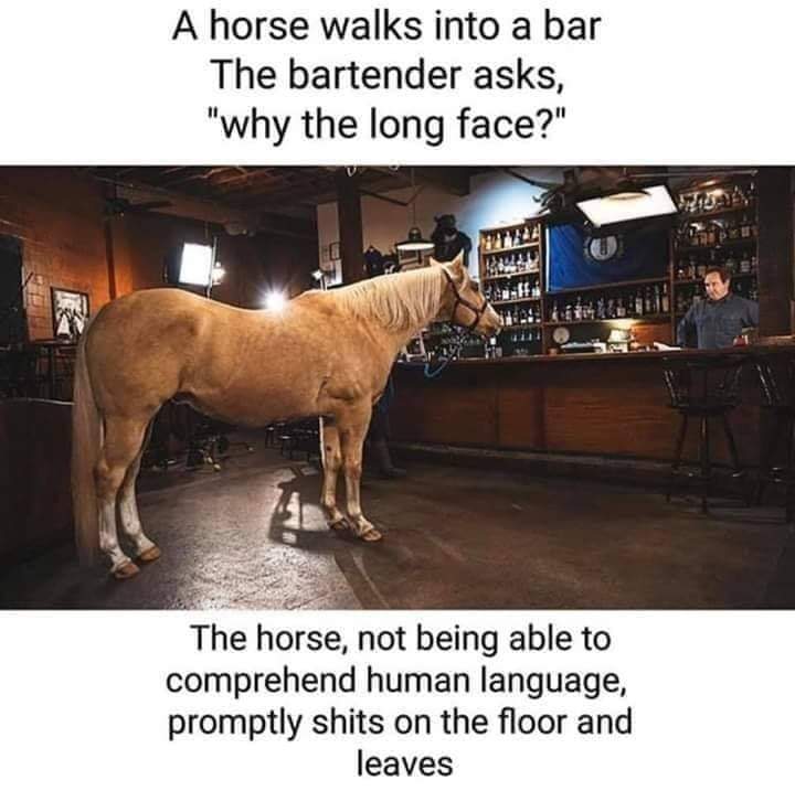 Horse  - meme
