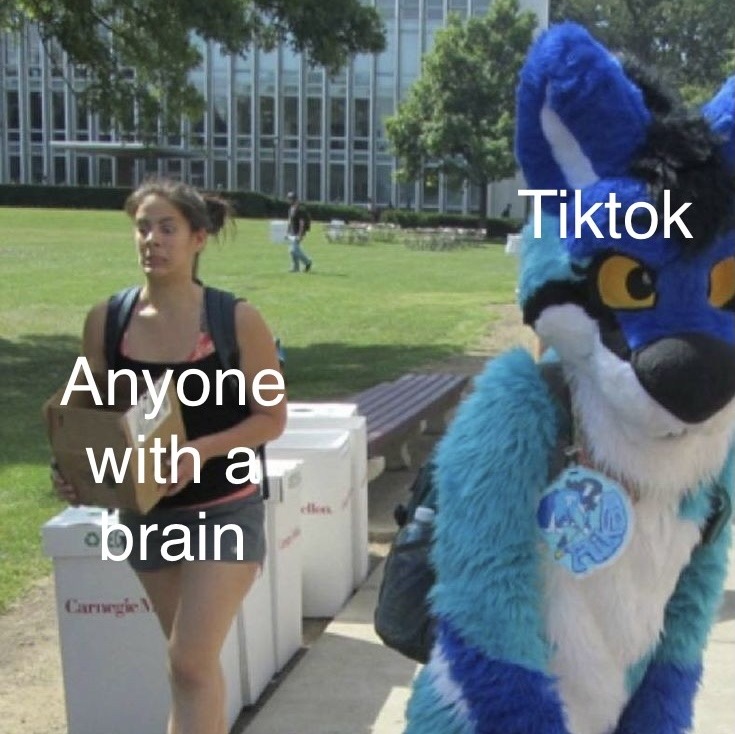 Tiktok is bad but furries are worse - meme