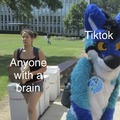 Tiktok is bad but furries are worse