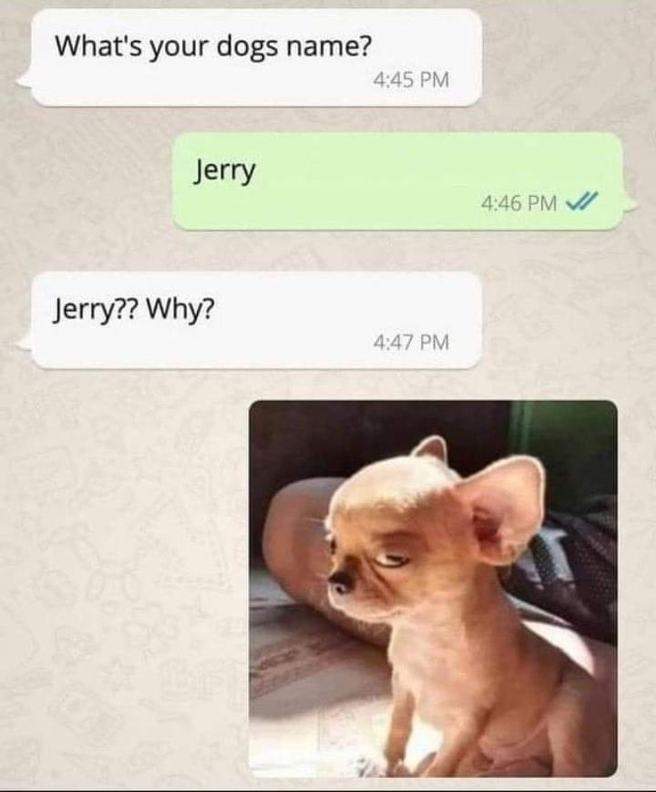 JERRY - meme