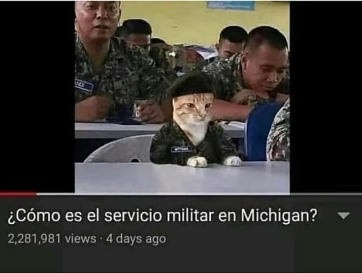 wtfff!!! - meme