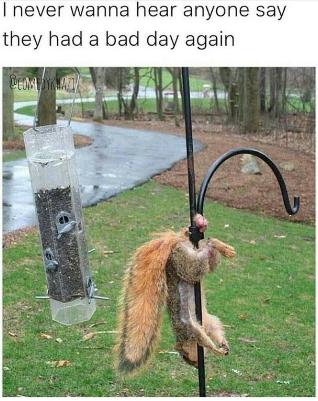 Bad Day - meme