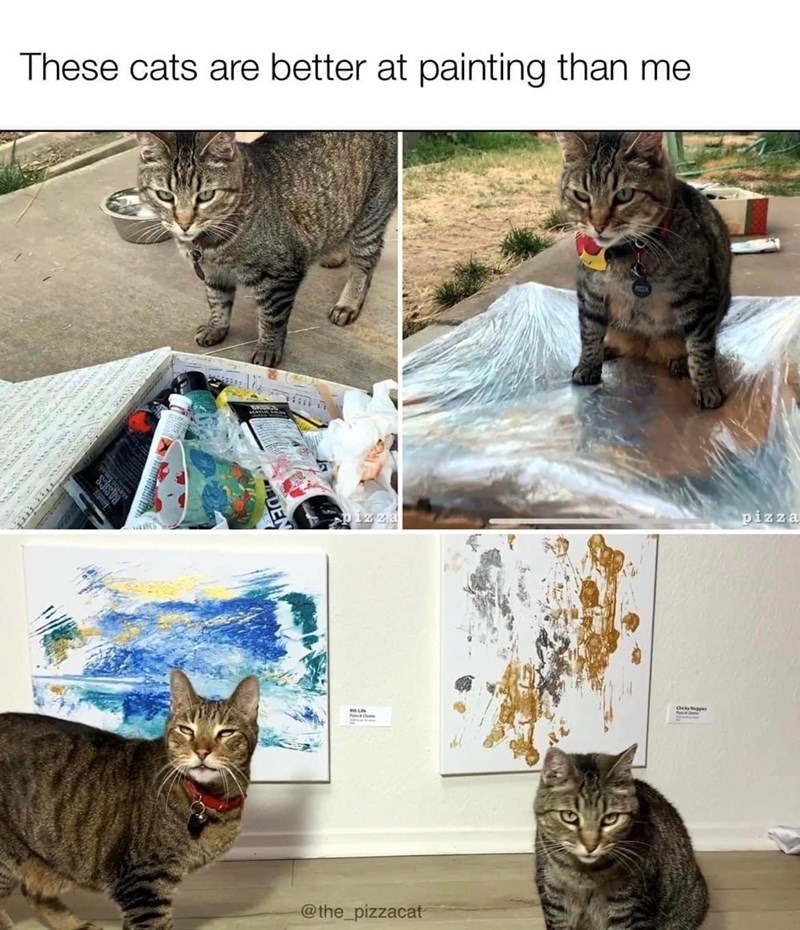 cat art - meme