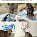 cat art