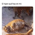 Mi tigre xd
