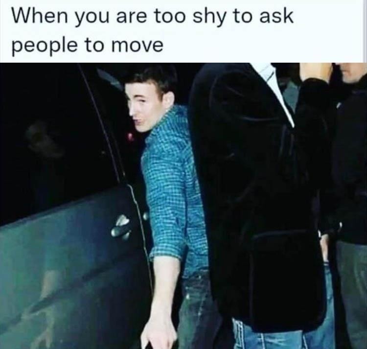Shy - meme