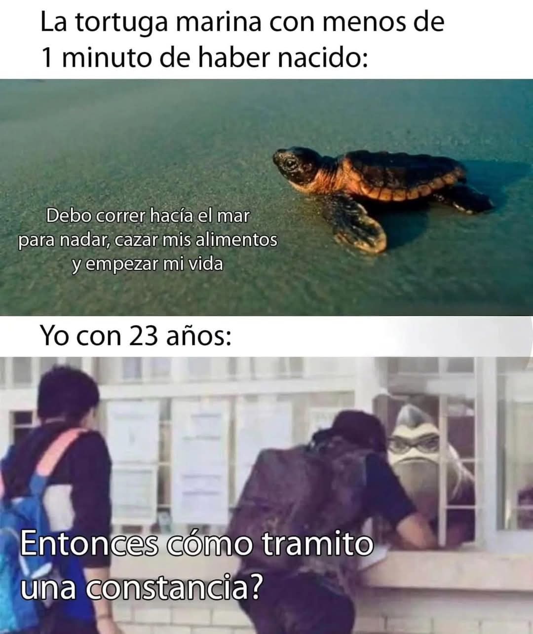 La juventud... - meme