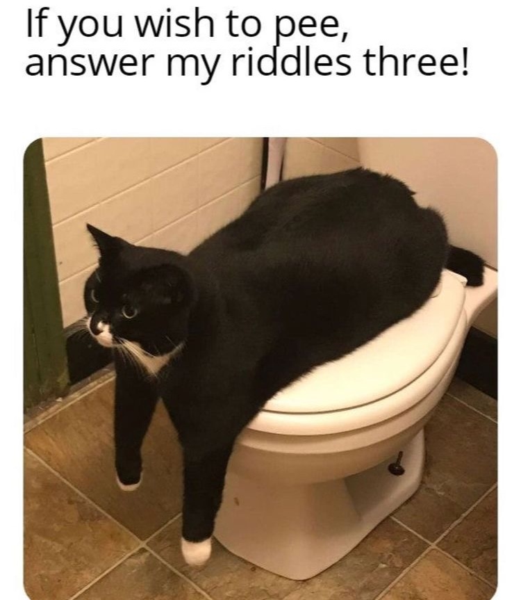 riddles to pee - meme