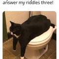 riddles to pee