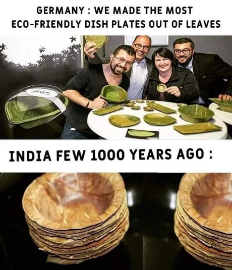 eco friendly vs india - meme