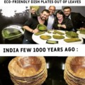eco friendly vs india