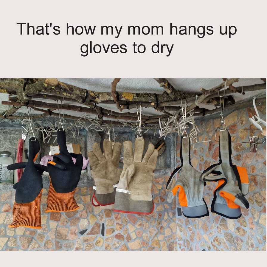 Gloves - meme