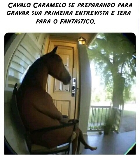 Cavalo caramelo - meme
