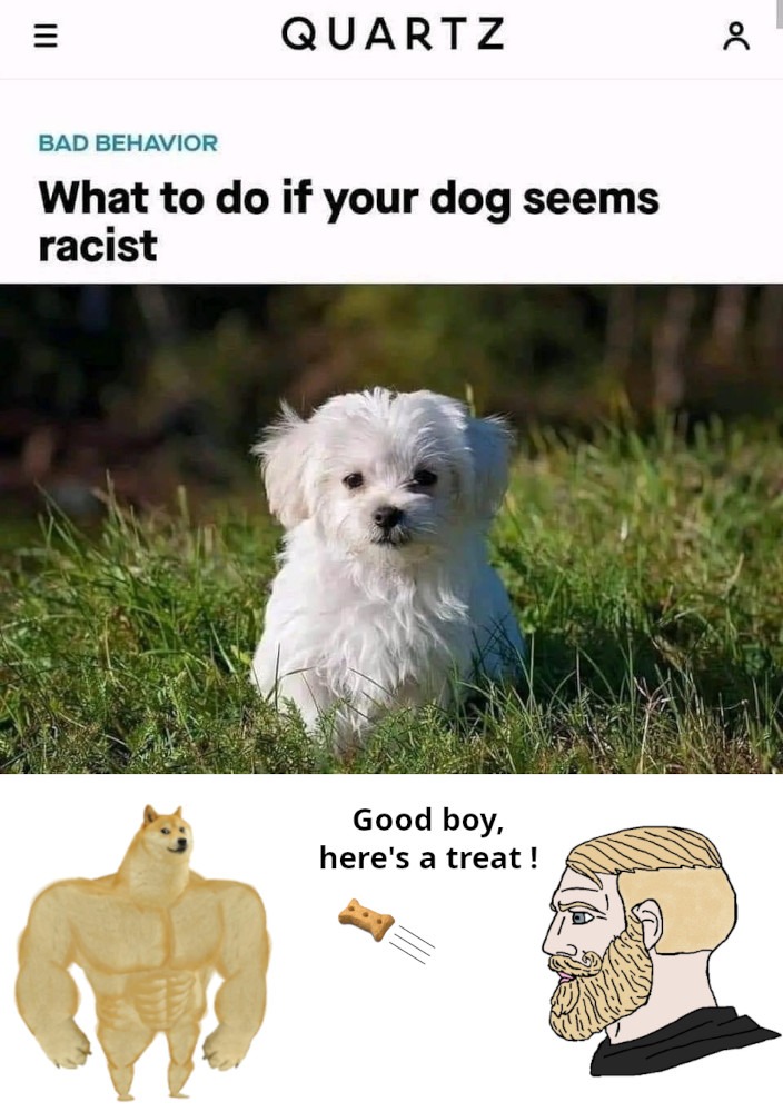 Why Dogs are our Best Friends - meme