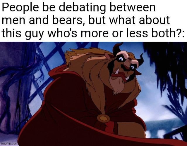 Man and bear - meme