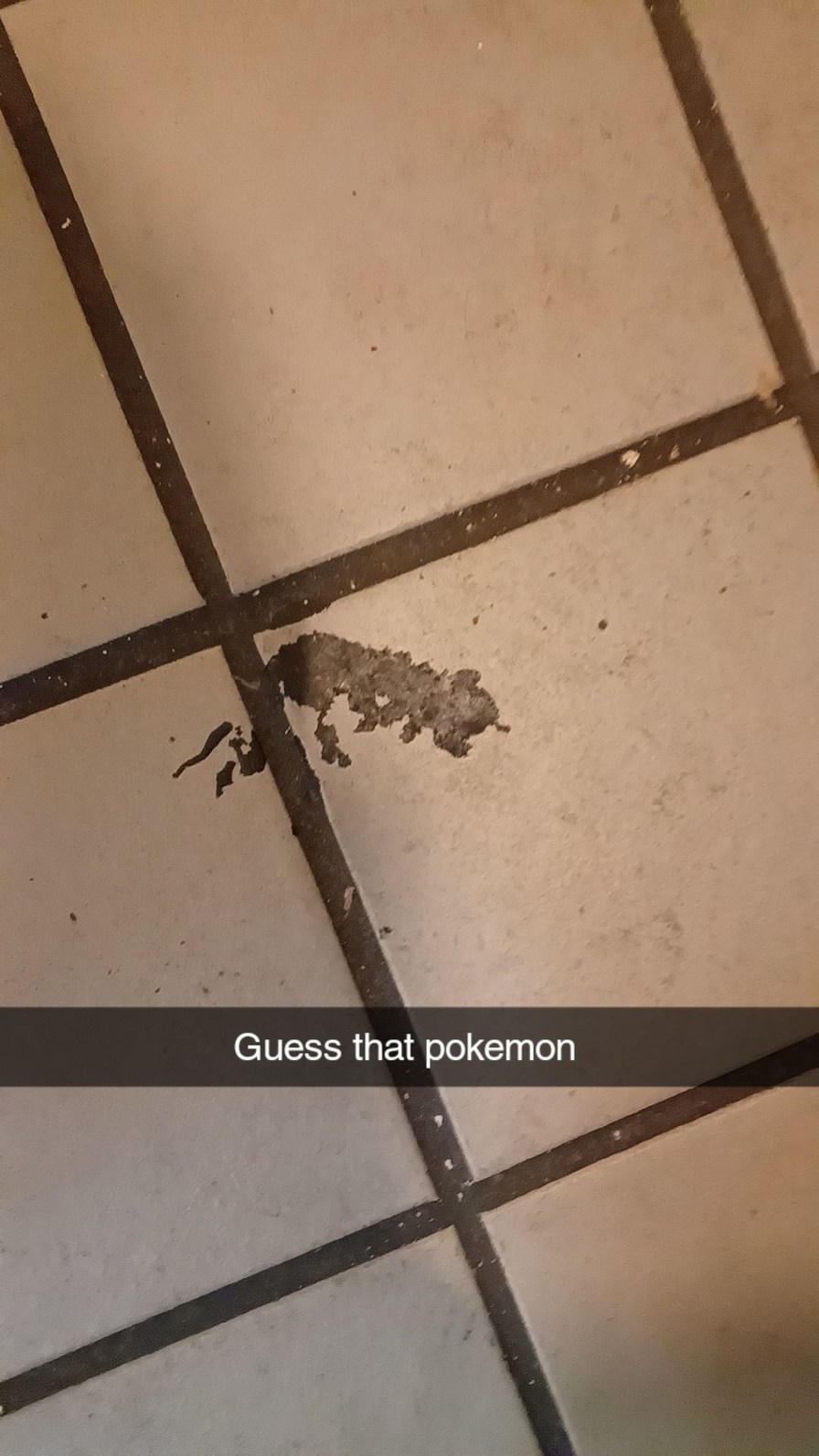 James  is the best pokemon trainer - meme