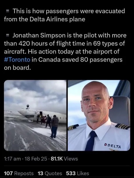 Delta Airlines plane pilot meme