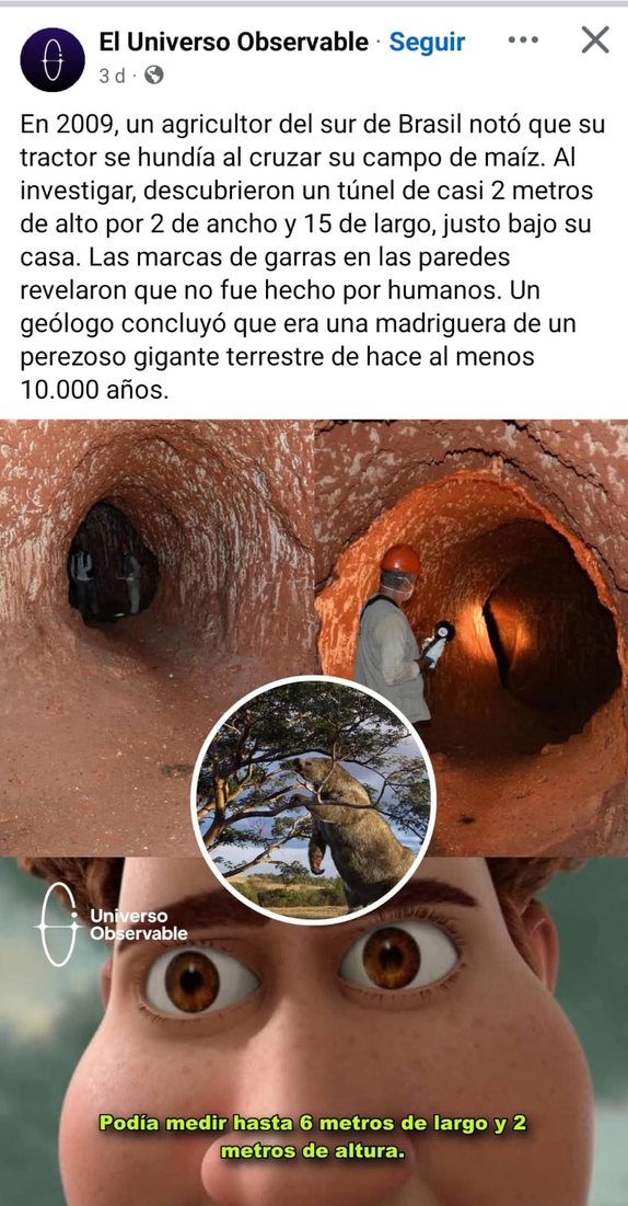 casa sobre Godzilla - meme
