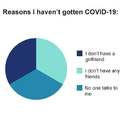 Reasons I haven't gotten COVID-19